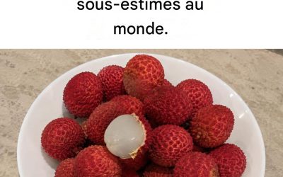 Litchi : Traite l’anémie et les infections, renforce le système immunitaire, fortifie les os et combat la constipation.