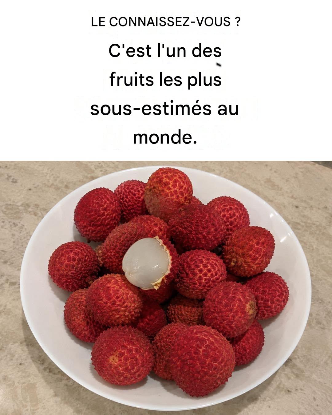 Litchi : Traite l’anémie et les infections, renforce le système immunitaire, fortifie les os et combat la constipation.