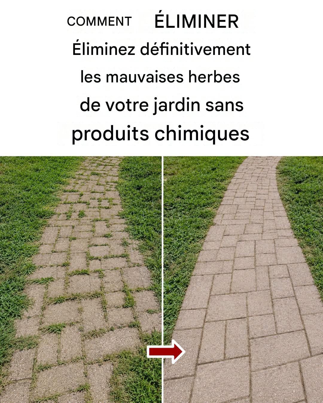 Comment éliminer les mauvaises herbes naturellement et définitivement