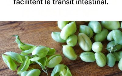 Les 10 aliments les plus riches en fibres pour dire adieu au cholestérol et à la constipation