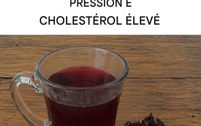 Tisane d’hibiscus, de graines d’avocat et de clou de girofle : un concentré de bienfaits