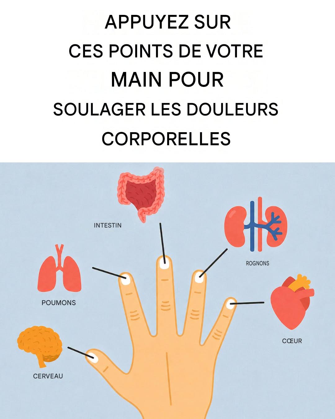 Une ancienne technique manuelle japonaise pour éliminer l’anxiété et le stress en quelques secondes