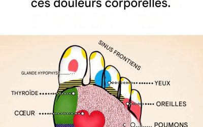 Comment stimuler les points d’acupuncture du pied pour traiter divers maux