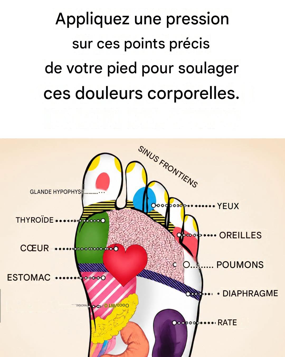 Comment stimuler les points d’acupuncture du pied pour traiter divers maux