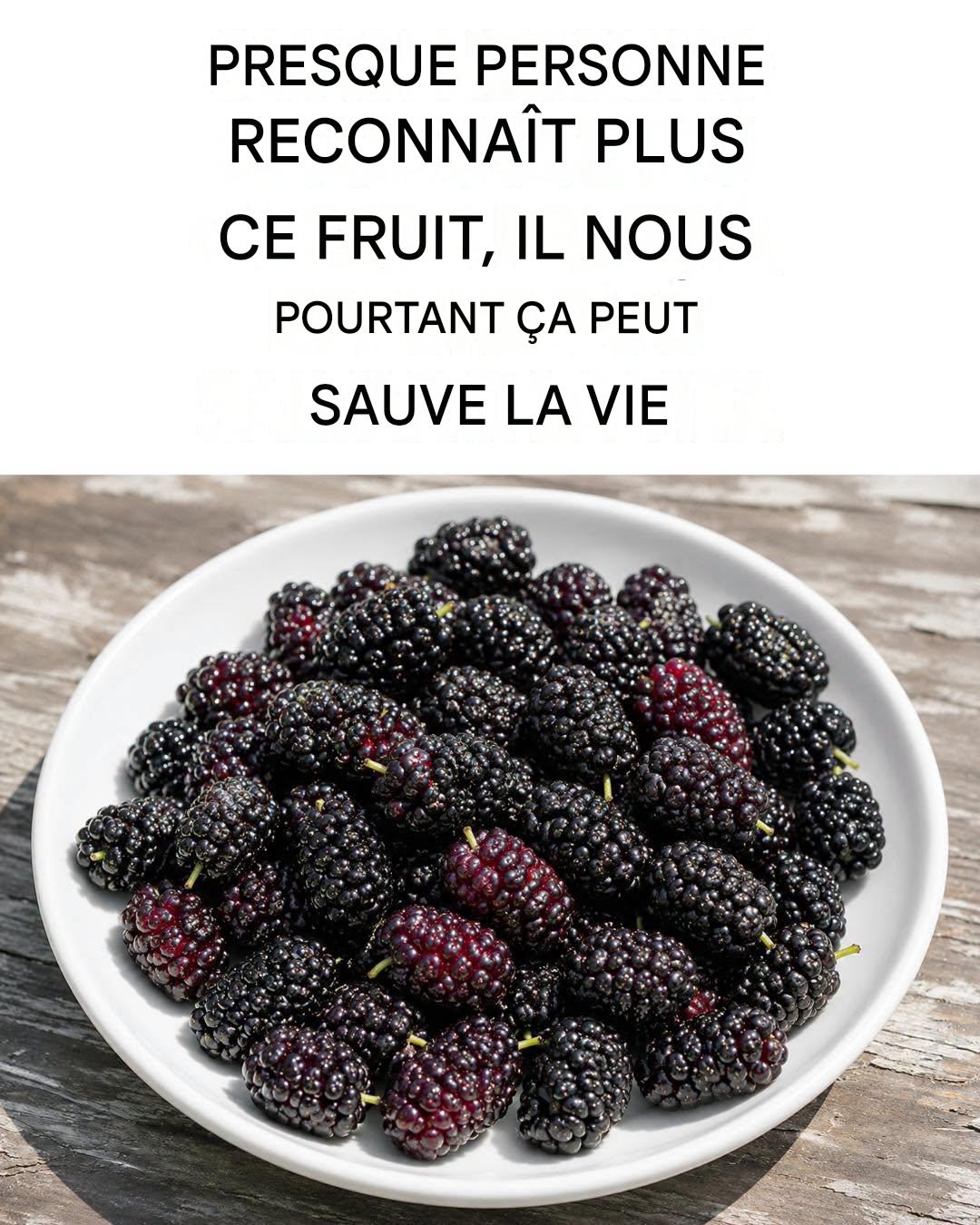 Mûrier noir : régule la tension artérielle, améliore la vue, prévient le cancer et soulage les maux de tête.