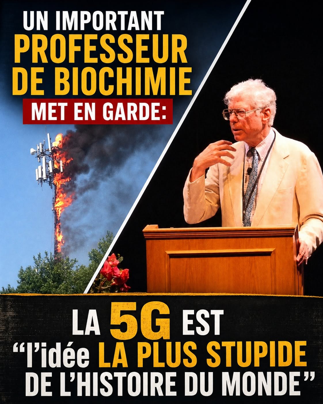 Un important professeur de biochimie met en garde: La 5G est « l’idée la plus stupide de l’histoire du monde »
