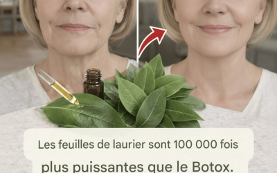 La feuille de laurier contre les rides : un agent anti-âge naturel qui nourrit la peau.