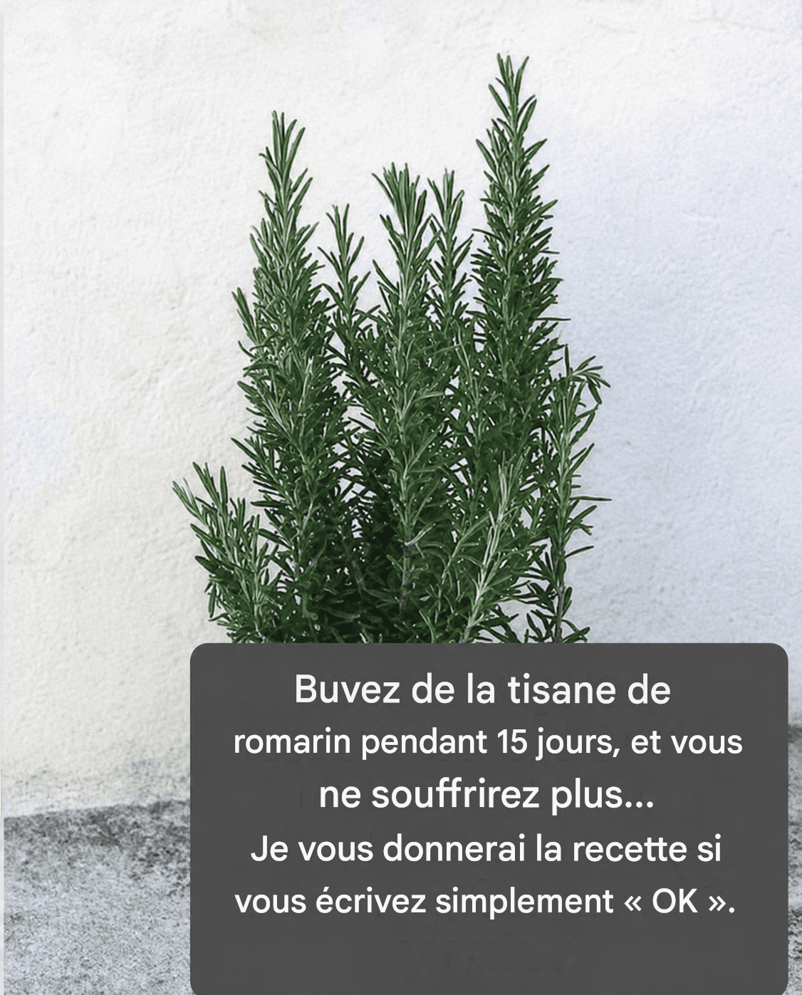 On l’appelle morphine naturelle car elle soulage les douleurs musculaires, articulaires et rhumatismales. Pour continuer à recevoir mes ordonnances, dites simplement : « Merci ! »