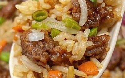 Récipient pour riz frit aux oignons et au bœuf