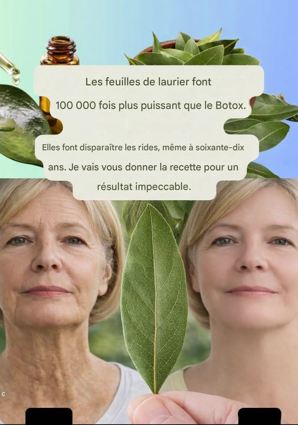 De laurier