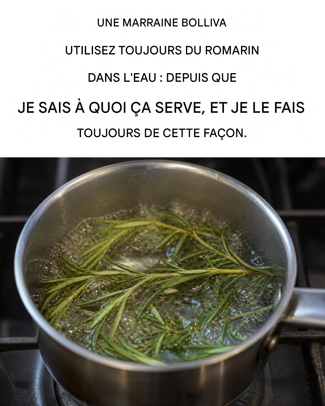 Comment parfumer toute la cuisine avec un brin de romarin