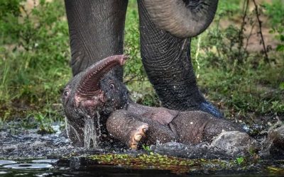 La force d’une mère au bord de l’eau.