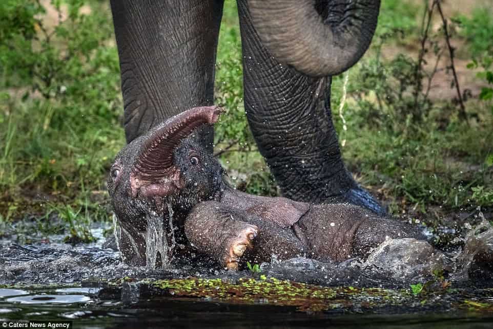 La force d’une mère au bord de l’eau.
