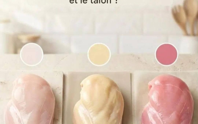 Il est surprenant que le lien entre la couleur du poulet et sa qualité ne soit toujours pas clair pour certains.
