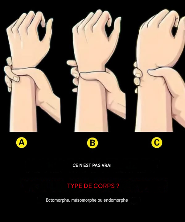 Types morphologiques : Êtes-vous ectomorphe, mésomorphe ou endomorphe ?