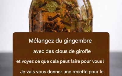 Bienfaits du gingembre et du clou de girofle pour la santé naturelle 🌿✨