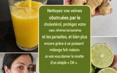 Trois super-aliments pour booster votre santé après trente ans : le guide complet du moringa, du gingembre et du citron