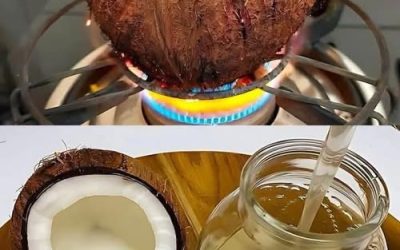 Découvrez les merveilles de l’huile de coco artisanale, riche en nutriments et en saveurs exotiques, et créez une expérience culinaire unique et bénéfique à la maison. Deux techniques de production : artisanale et industrielle Comparaison des méthodes d’extraction de l’huile de coco  L’huile de coco peut être produite de deux manières différentes :  Extraction mécanique à basse température : cette méthode traditionnelle préserve intégralement les nutriments en évitant tout chauffage. Il en résulte une huile d’un blanc pur, à l’arôme délicat et au goût naturellement doux.  À l’instar  d’un jus fraîchement pressé, elle conserve toutes ses vitamines. Le chauffage  permet un meilleur rendement, mais il modifie légèrement le profil nutritionnel et gustatif.  C’est la différence entre les légumes frais et leurs équivalents surgelés. Technique familiale d’extraction de l’huile de coco Préparation d’huile de coco maison  Découvrez cette approche incroyablement simple et éprouvée par le temps :  Commencez par râper finement la pulpe fraîche (ou choisissez  de la noix de coco râpée biologique et non traitée). Ajoutez de l’eau chaude (ratio eau/noix de coco  2:1  ) puis mixez jusqu’à obtenir une consistance lisse. Filtrer soigneusement à travers  un linge propre  ou un filtre à café en pressant fermement. Laisser le liquide obtenu   reposer dans un récipient fermé pendant une journée entière . La couche lipidique remontera naturellement à la surface (si nécessaire, accélérez le processus en conservant au réfrigérateur  )  . Versez soigneusement votre précieux liquide dans  un récipient stérilisé,  à l’abri de toute source de chaleur.