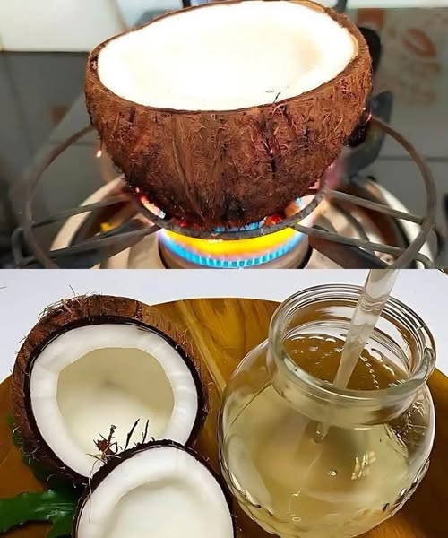 Découvrez les merveilles de l’huile de coco artisanale, riche en nutriments et en saveurs exotiques, et créez une expérience culinaire unique et bénéfique à la maison. Deux techniques de production : artisanale et industrielle Comparaison des méthodes d’extraction de l’huile de coco  L’huile de coco peut être produite de deux manières différentes :  Extraction mécanique à basse température : cette méthode traditionnelle préserve intégralement les nutriments en évitant tout chauffage. Il en résulte une huile d’un blanc pur, à l’arôme délicat et au goût naturellement doux.  À l’instar  d’un jus fraîchement pressé, elle conserve toutes ses vitamines. Le chauffage  permet un meilleur rendement, mais il modifie légèrement le profil nutritionnel et gustatif.  C’est la différence entre les légumes frais et leurs équivalents surgelés. Technique familiale d’extraction de l’huile de coco Préparation d’huile de coco maison  Découvrez cette approche incroyablement simple et éprouvée par le temps :  Commencez par râper finement la pulpe fraîche (ou choisissez  de la noix de coco râpée biologique et non traitée). Ajoutez de l’eau chaude (ratio eau/noix de coco  2:1  ) puis mixez jusqu’à obtenir une consistance lisse. Filtrer soigneusement à travers  un linge propre  ou un filtre à café en pressant fermement. Laisser le liquide obtenu   reposer dans un récipient fermé pendant une journée entière . La couche lipidique remontera naturellement à la surface (si nécessaire, accélérez le processus en conservant au réfrigérateur  )  . Versez soigneusement votre précieux liquide dans  un récipient stérilisé,  à l’abri de toute source de chaleur.