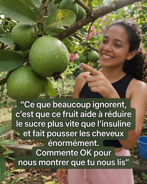 Ce que la plupart des gens ignorent, c’est que ce fruit fait chuter le sucre plus vite que l’insuline, tout en boostant la pousse des cheveux ! Laissez
