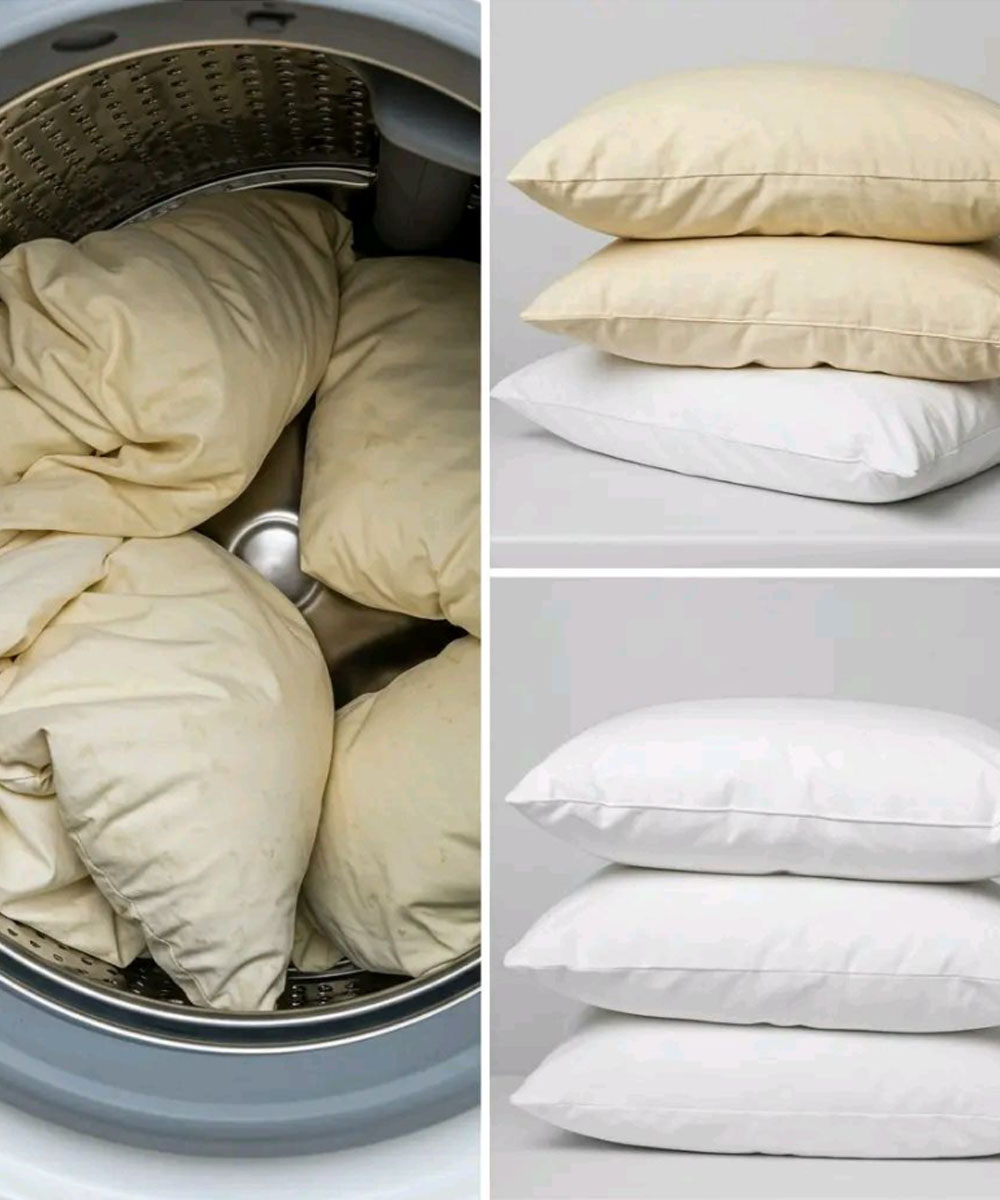 Comment laver les oreillers jaunis : 3 astuces pour les laisser blancs comme neufs