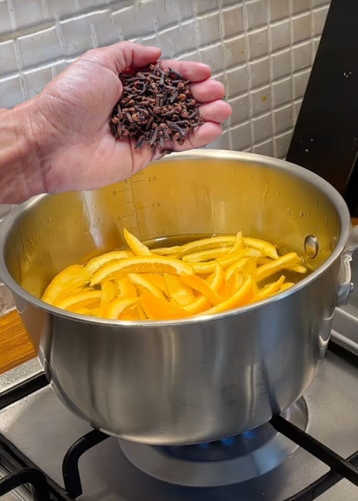 Raviver la sagesse ancestrale : l’élixir d’écorce d’orange et de clou de girofle