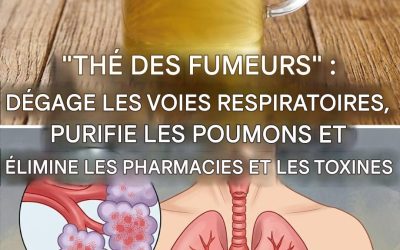 Le thé qui dégage les poumons de tous les mucosités, détoxifie les voies respiratoires et guérit l’asthme.