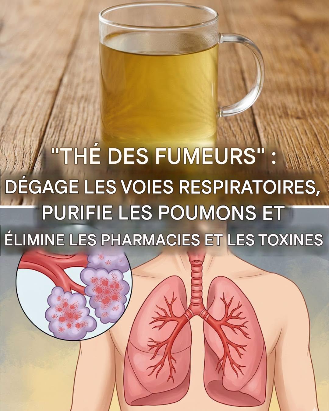 Le thé qui dégage les poumons de tous les mucosités, détoxifie les voies respiratoires et guérit l’asthme.
