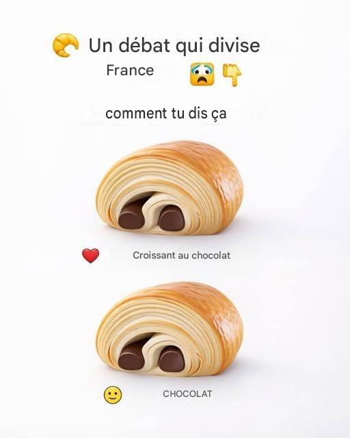 Le débat qui divise la France