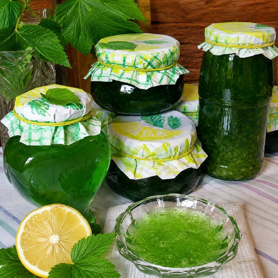 C’EST L’IDÉE PARFAITE ! 😲👆 Si vous avez de la menthe qui pousse dans votre jardin, vous devez absolument essayer ça !
