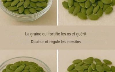 Les graines de citrouille, un superaliment naturel