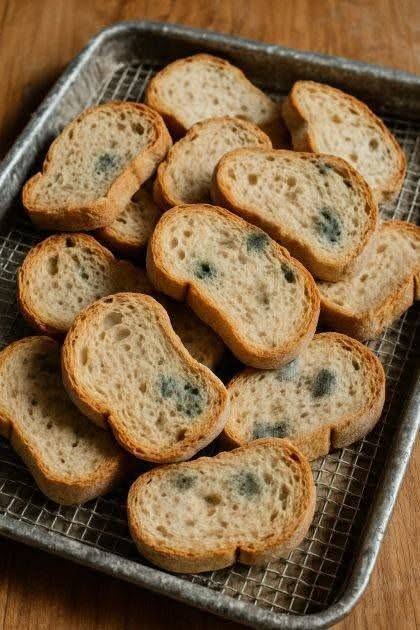J’ai pris du pain sec dans le garde-manger. Ma belle-mère dit que ce serait dommage de ne pas l’utiliser, mais je le trouve vraiment affreux. Que dois-je faire ?