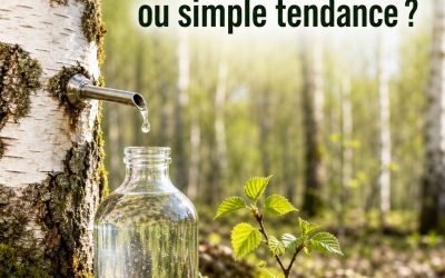 Les bienfaits de la sève de bouleau : élixir de printemps ou simple tendance ?