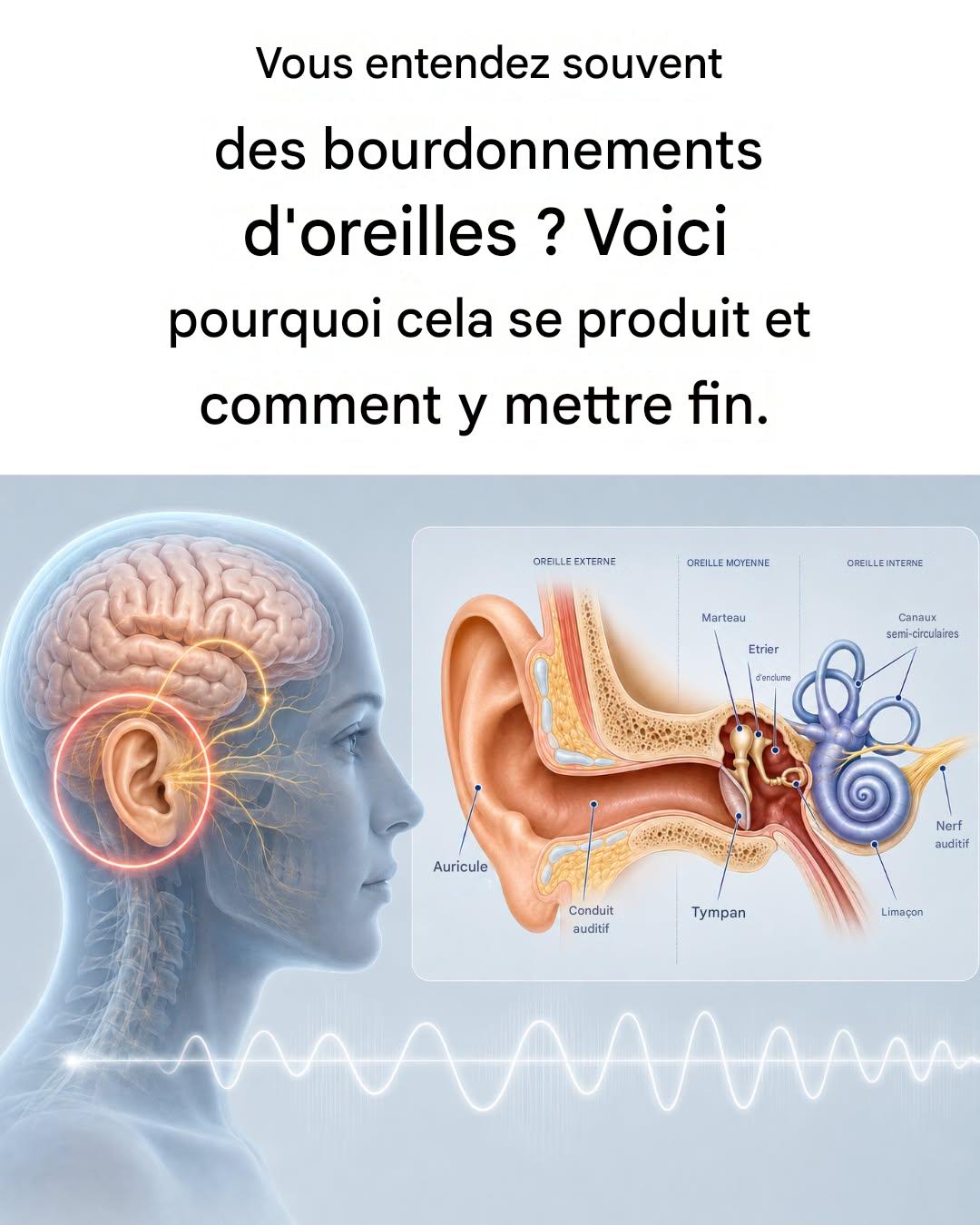 Bourdonnements d’oreilles : pourquoi et comment s’en débarrasser