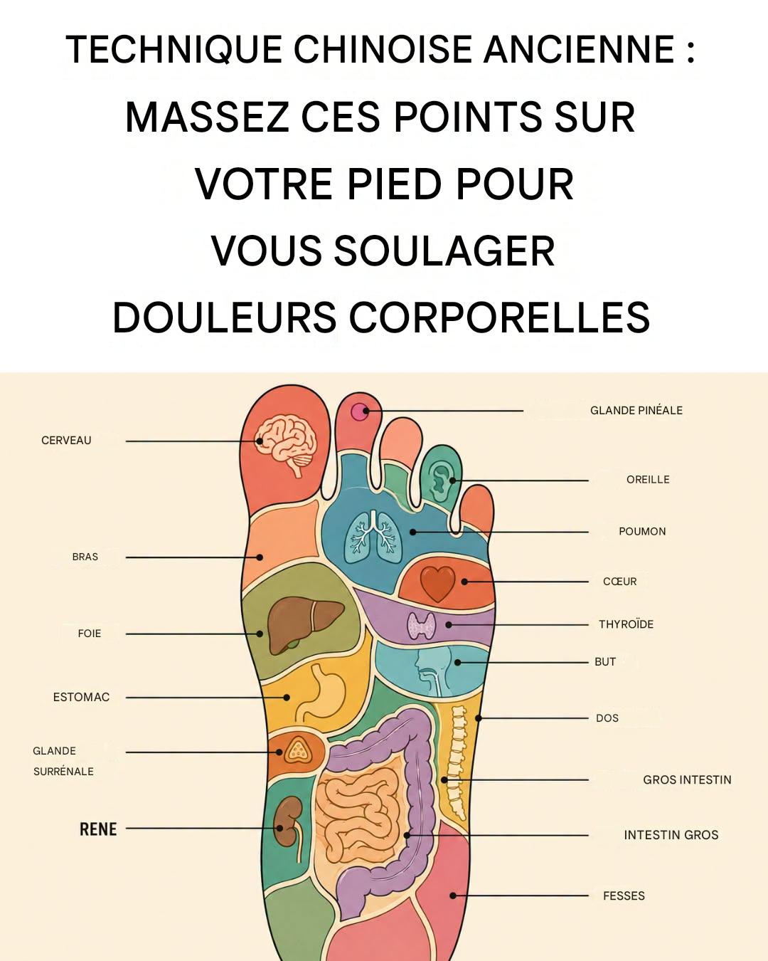 Voici pourquoi se masser les pieds avant de dormir peut changer votre vie.