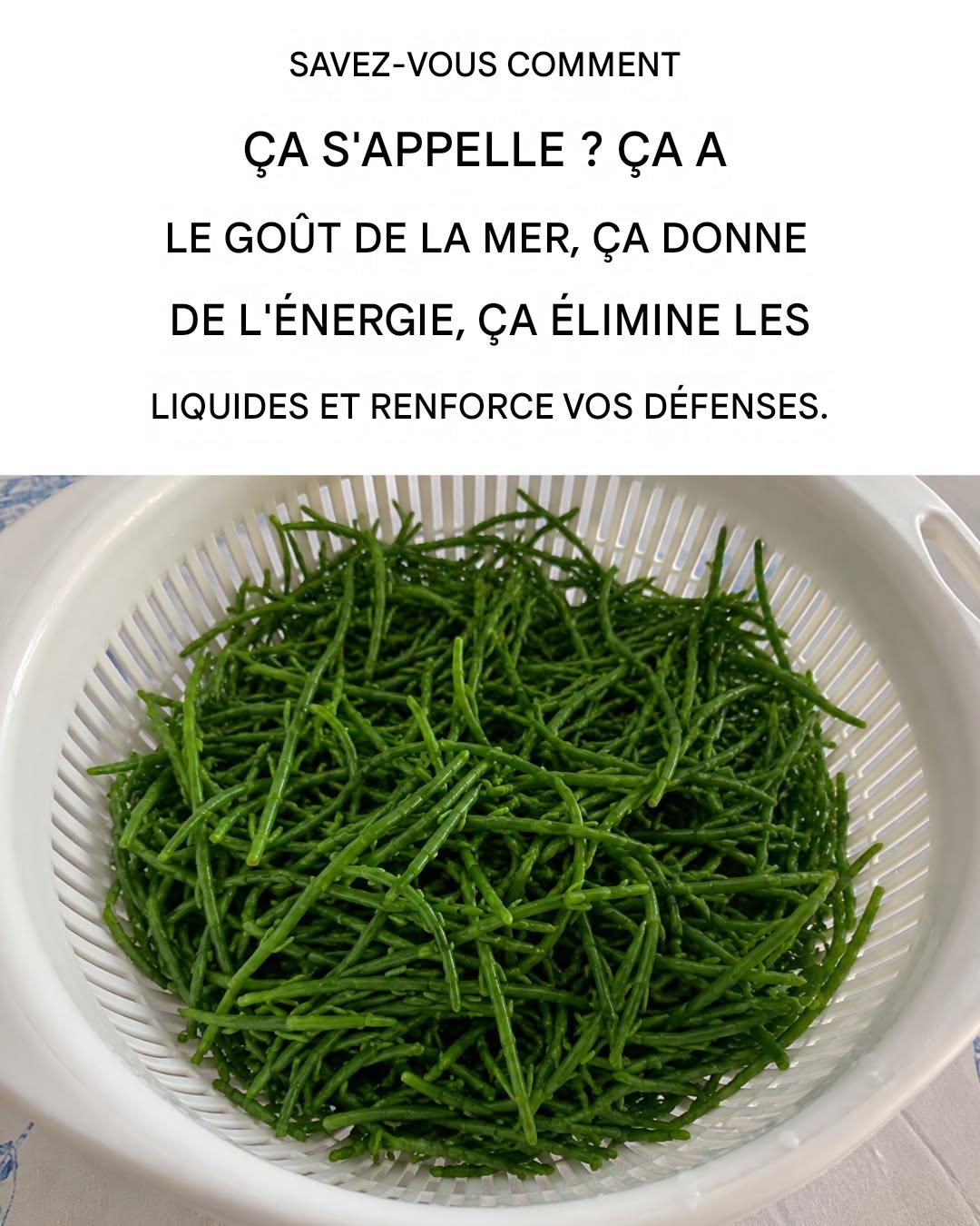 Toutes les propriétés et les bienfaits de la salicorne : voici comment la consommer