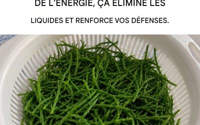 Toutes les propriétés et les bienfaits de la salicorne : voici comment la consommer