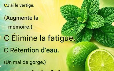 Jus de menthe et citron : une boisson rafraîchissante aux nombreux bienfaits pour la santé 🍋🌿
