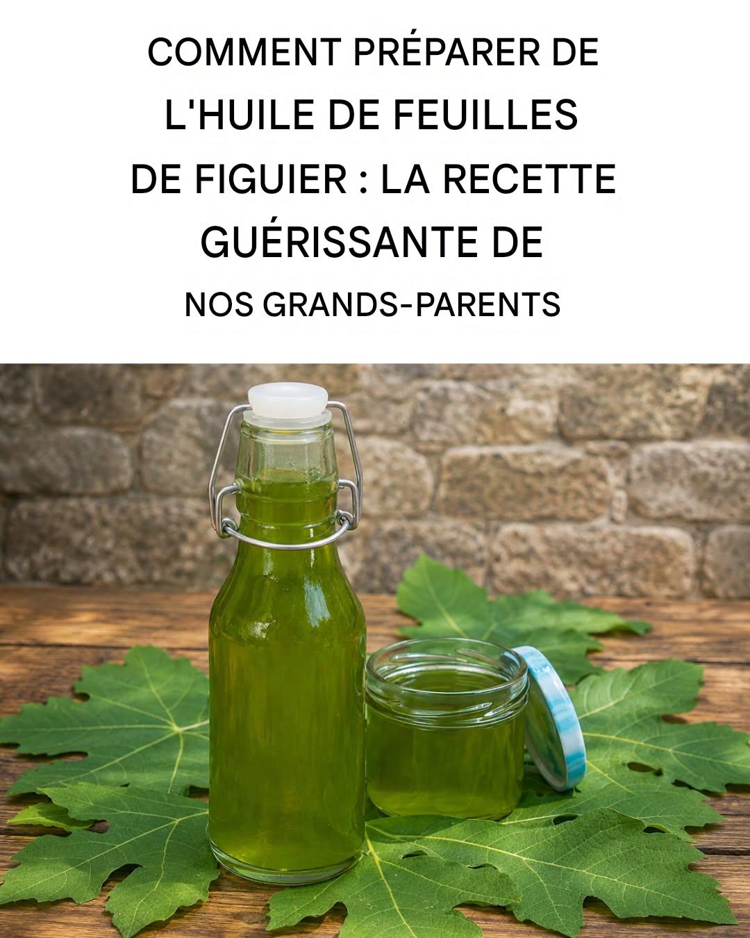 Huile de feuilles de figuier : une recette de guérison ancestrale de nos grands-parents