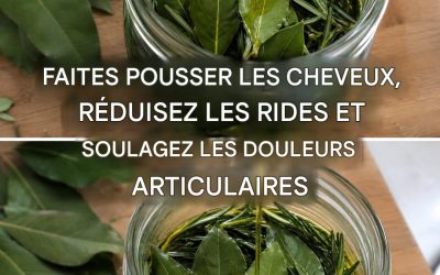 Comment fabriquer une pommade qui soulage instantanément les douleurs articulaires