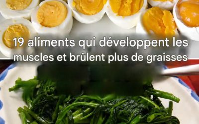 Aliments qui augmentent la masse musculaire et brûlent plus de graisses