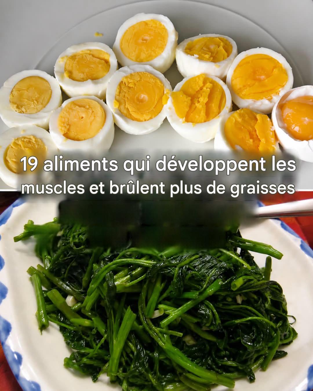 Aliments qui augmentent la masse musculaire et brûlent plus de graisses