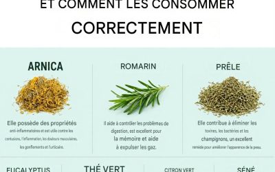 Plantes thérapeutiques qui guérissent