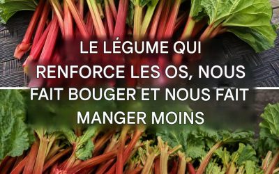 Tous les bienfaits de la rhubarbe et comment la cuisiner