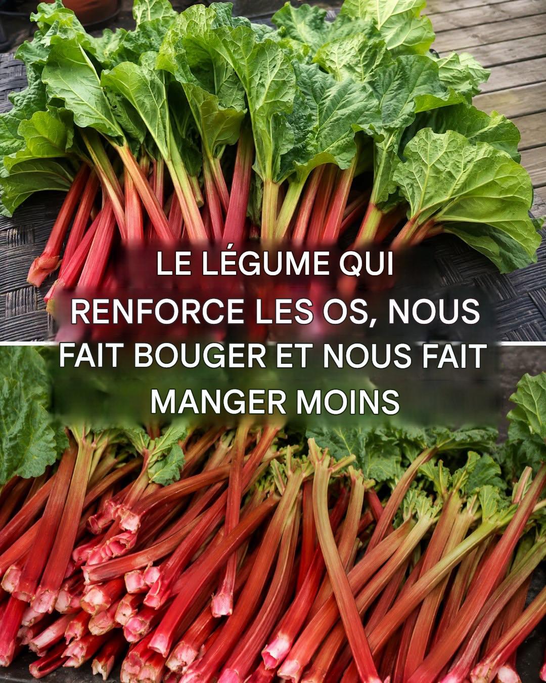 Tous les bienfaits de la rhubarbe et comment la cuisiner