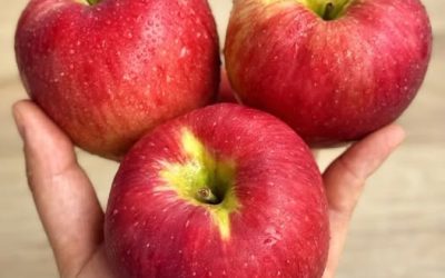 Est-il mieux de manger les pommes avec ou sans la peau ? Une nutritionniste tranche