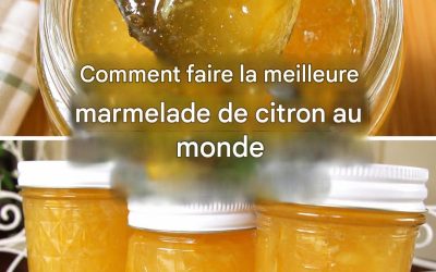 Marmelade de citron maison : la recette la plus rapide et la plus facile