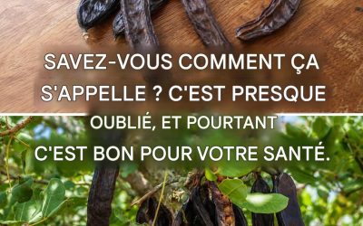 Ce fruit presque oublié qui favorise le transit intestinal, aide à perdre du poids et fait baisser le cholestérol.