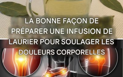 Comment soulager les douleurs articulaires, musculaires et rhumatismales avec du thé au laurier