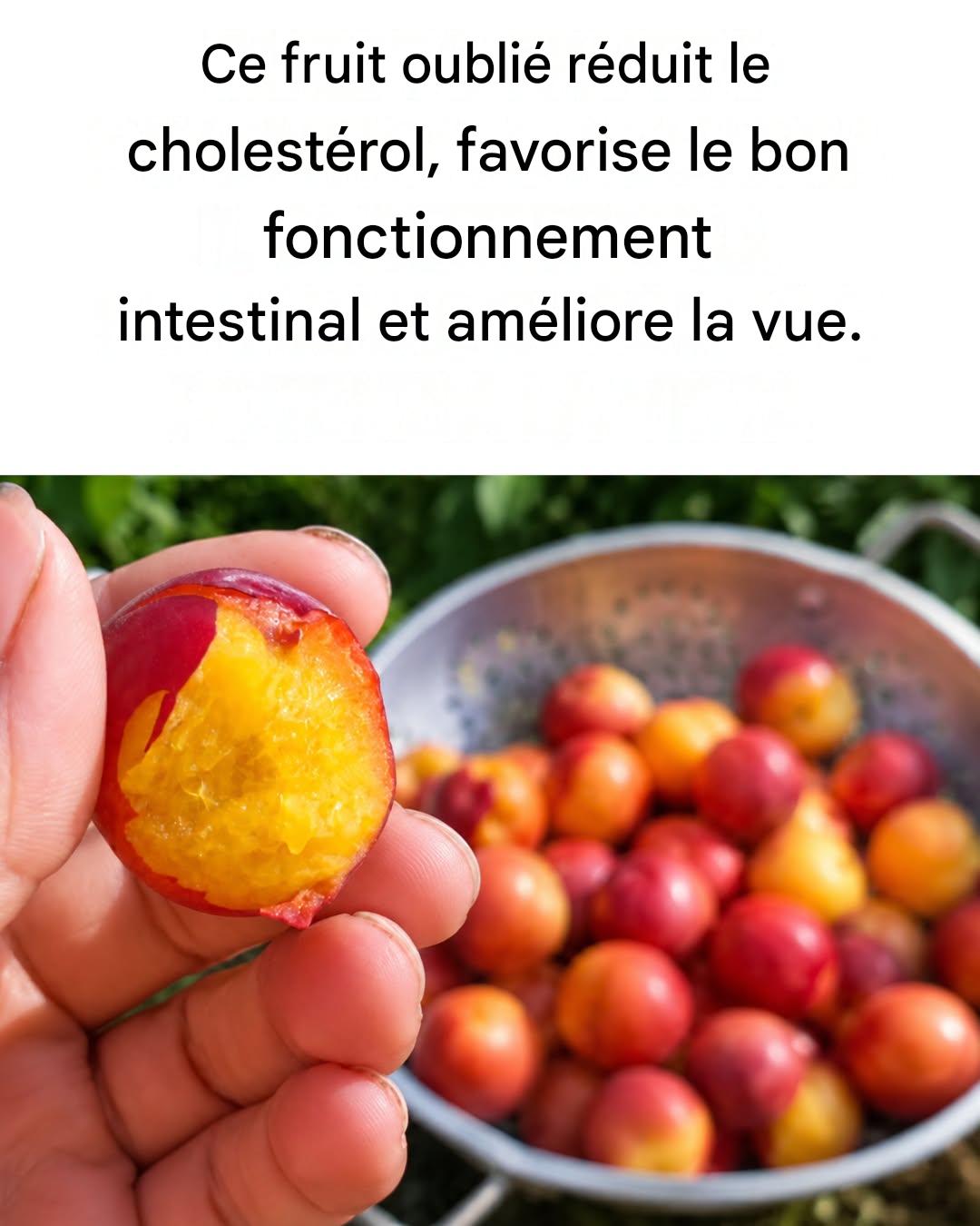 Ce fruit presque oublié pousse dans toute l’Italie et est un concentré de bienfaits